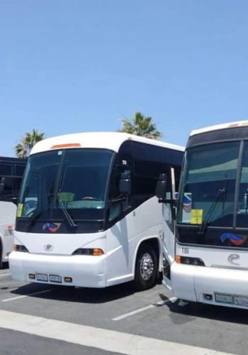 autobuses-transporte-rosarito